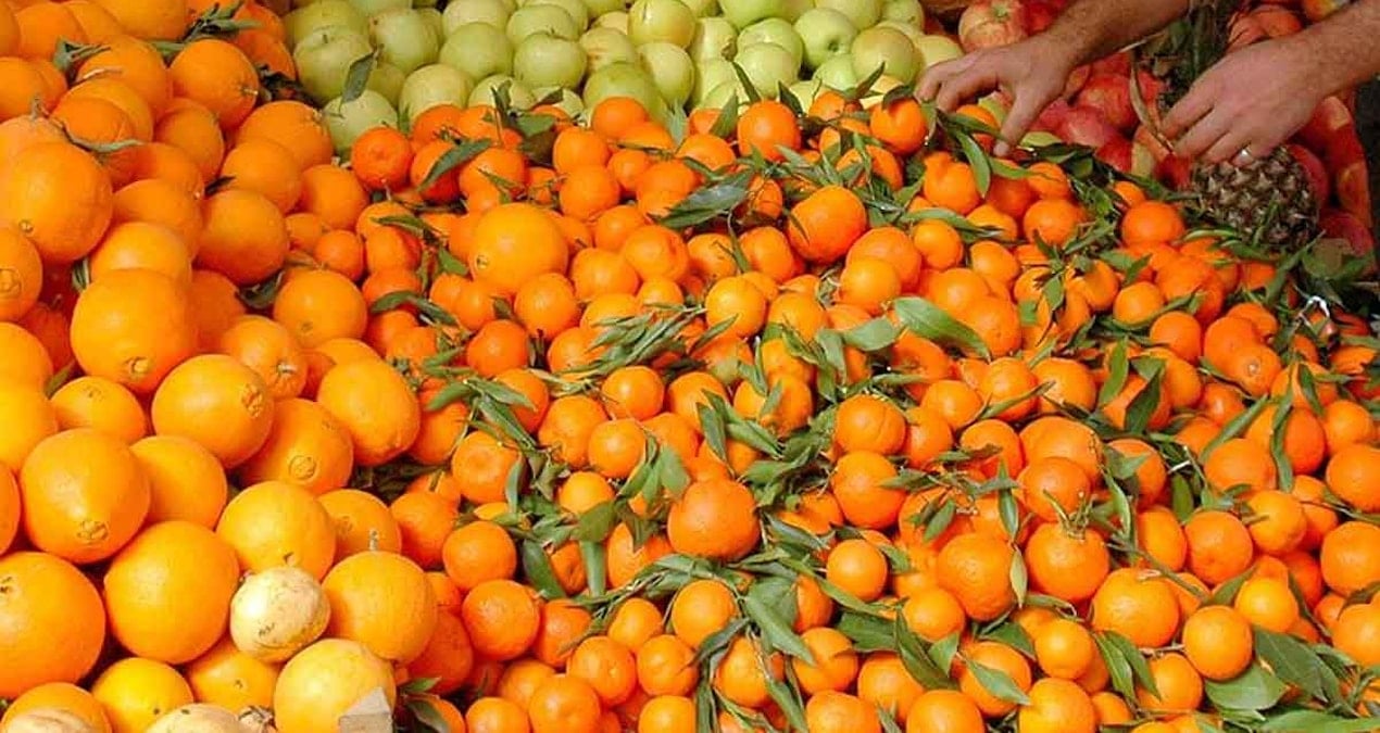 Mandalina mı portakal mı, sağlığınız için hangisi daha faydalı?